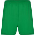 Спортивные шорты Calcio мужские, папоротниковый