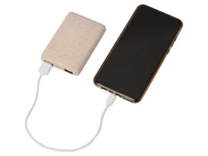 Портативное зарядное устройство Wheatty, 5000 mAh — изображение 2