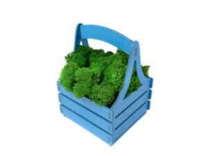 Композиция Корзинка со мхом, синий — изображение 4