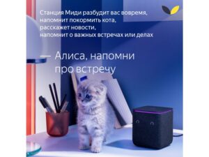 Умная колонка ЯНДЕКС Станция Миди с Алисой, с Zigbee, 24 Вт, цвет: серый (YNDX-00054GRY) — изображение 18