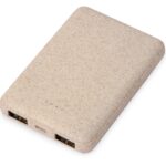 Портативное зарядное устройство Wheatty, 5000 mAh