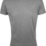 Футболка мужская Regent Fit 150, серый меланж