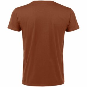 Футболка мужская Regent Fit 150, коричневая (терракотовая) — изображение 2