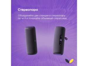 Умная портативная колонка Яндекс Станция Стрит с Алисой, черный (YNDX-00030BLK) — изображение 9