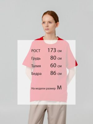 Футболка унисекс Vozduh 1.0, красная — изображение 9