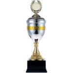 Кубок EnterPrize, серебристый