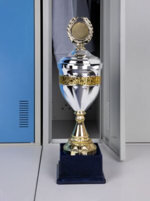 Кубок EnterPrize, серебристый — изображение 5