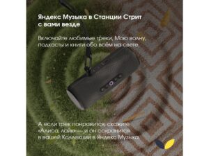 Умная портативная колонка Яндекс Станция Стрит с Алисой, черный (YNDX-00030BLK) — изображение 10