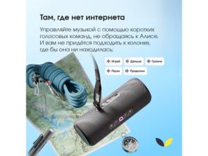 Умная портативная колонка Яндекс Станция Стрит с Алисой, черный (YNDX-00030BLK) — изображение 5