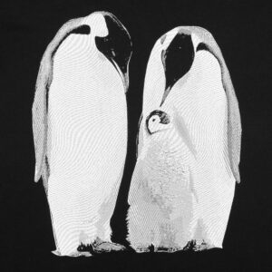 Футболка женская Like a Penguin, черная — изображение 2