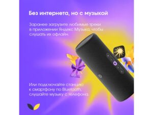 Умная портативная колонка Яндекс Станция Стрит с Алисой, черный (YNDX-00030BLK) — изображение 3