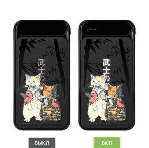 Внешний аккумулятор с подсветкой Starlight Plus PB 10000 mAh, черный — изображение 8