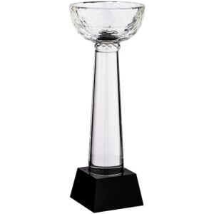 Кубок Cupture, большой — изображение 2