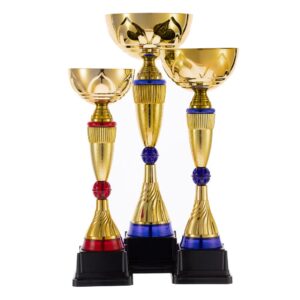 Кубок Awardee, средний, синий — изображение 4