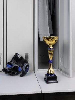 Кубок Awardee, средний, синий — изображение 5
