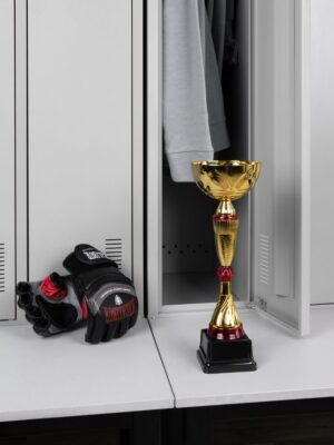 Кубок Awardee, средний, красный — изображение 5