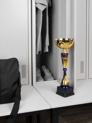 Кубок Awardee, большой, синий — изображение 5