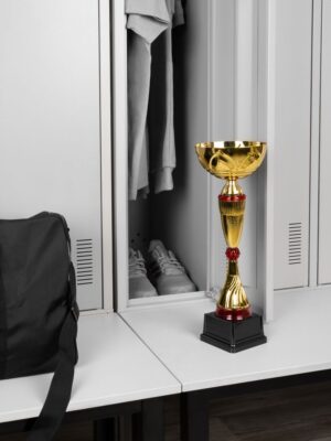 Кубок Awardee, большой, красный — изображение 5