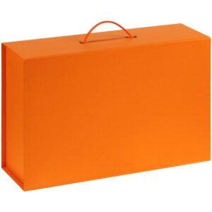 Коробка Big Case, оранжевая — изображение 2