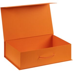 Коробка Big Case, оранжевая — изображение 3