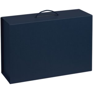 Коробка Big Case, синяя — изображение 2