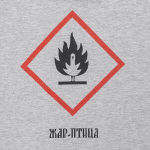 Футболка «Жар-птица», серый меланж — изображение 3