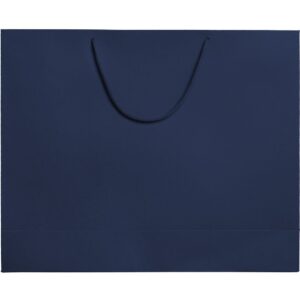 Пакет бумажный Ample Plus L, синий — изображение 2
