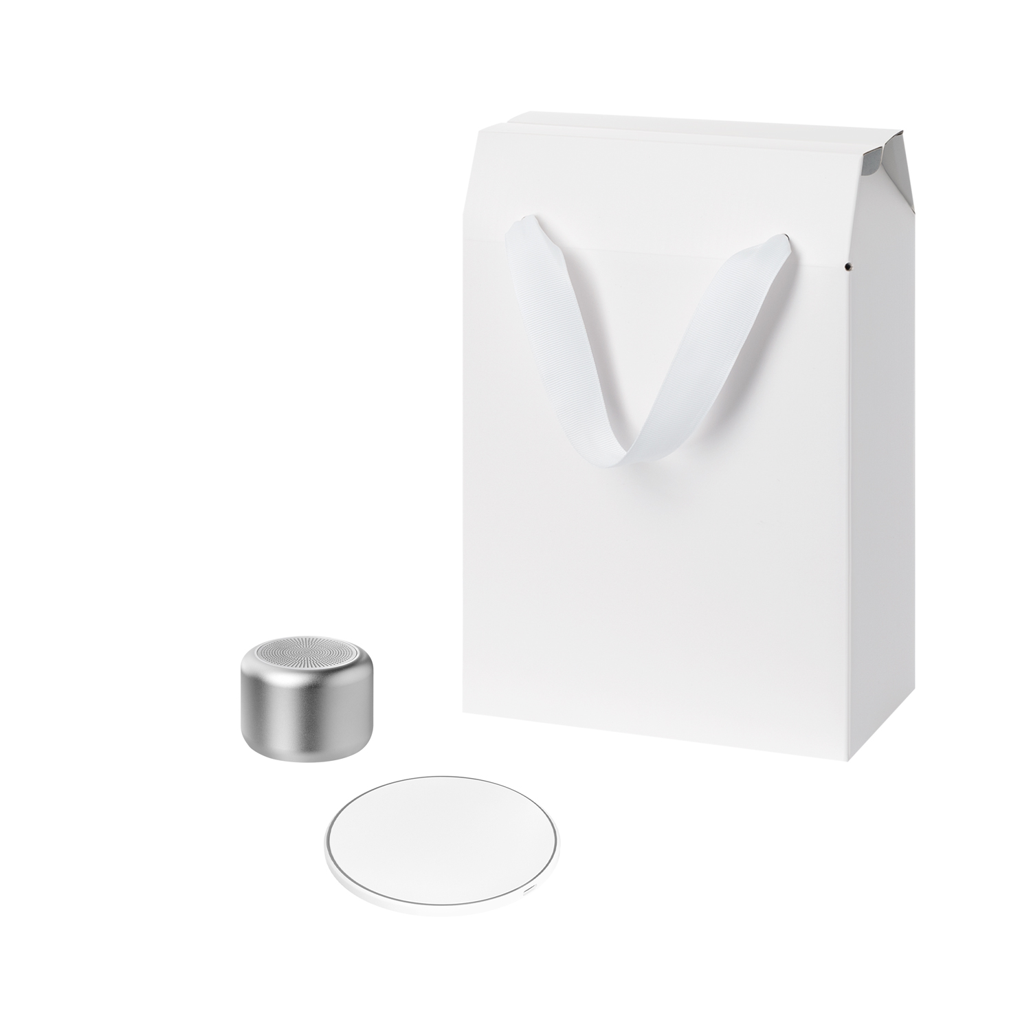 Подарочный набор Passion, Auris, серебряный (колонка, зарядное устройство)