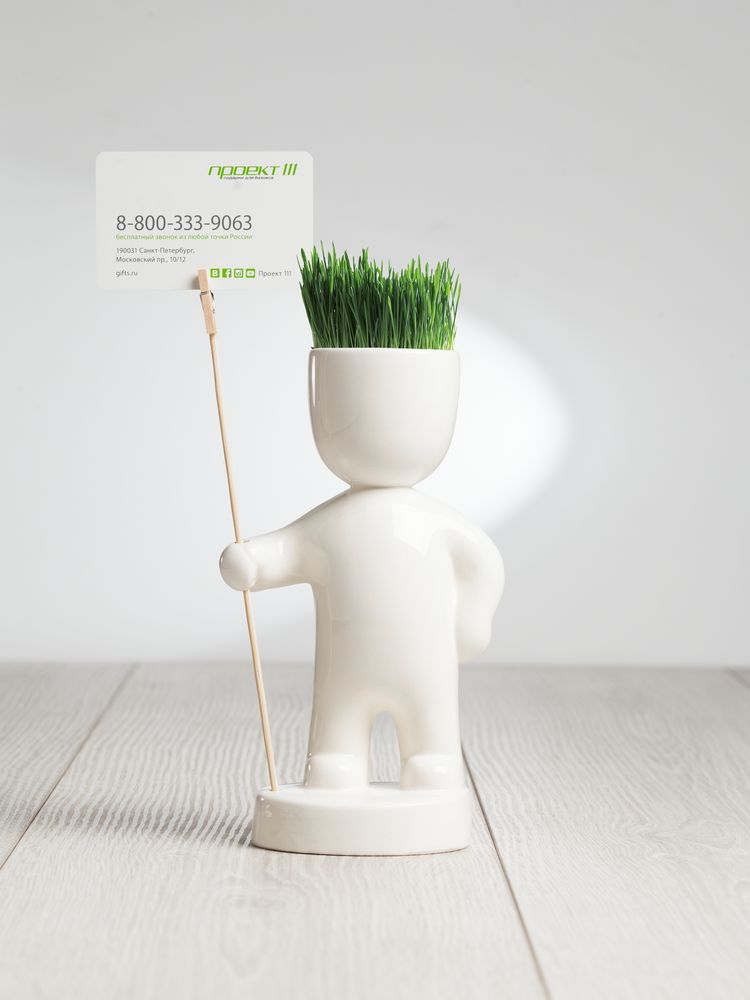 Набор для выращивания Funky Headman — изображение 5