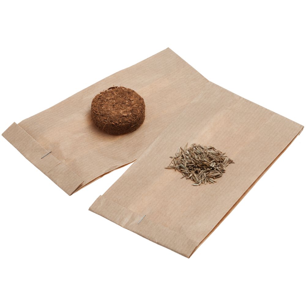 Набор для выращивания Funky Kid — изображение 5