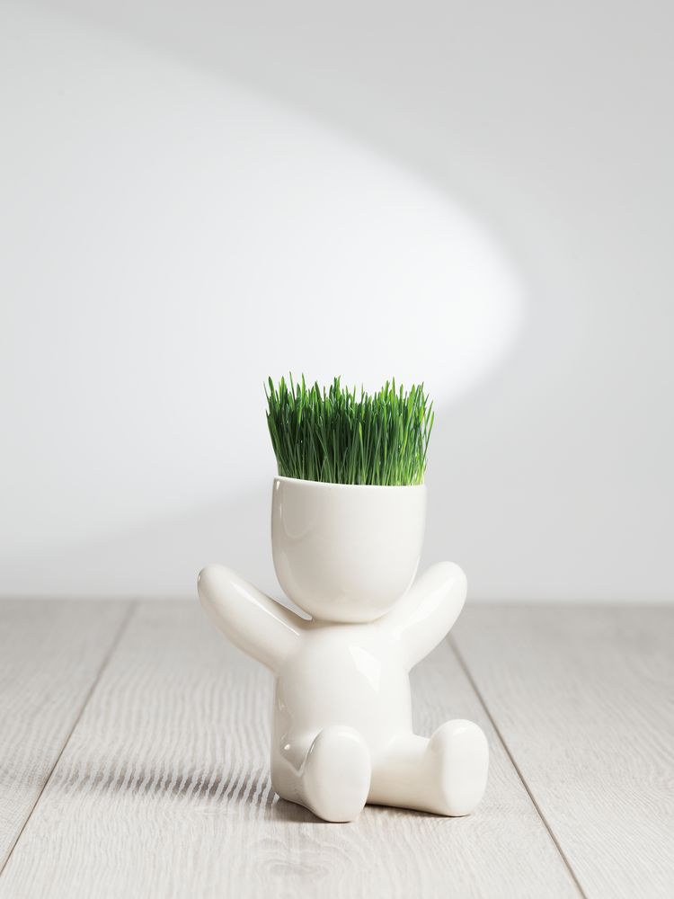 Набор для выращивания Funky Kid — изображение 6