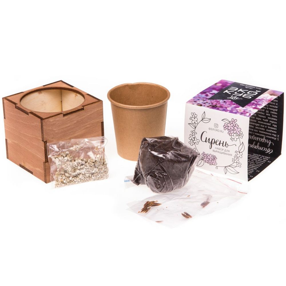 Набор для выращивания «Экокуб Lite», сирень — изображение 5