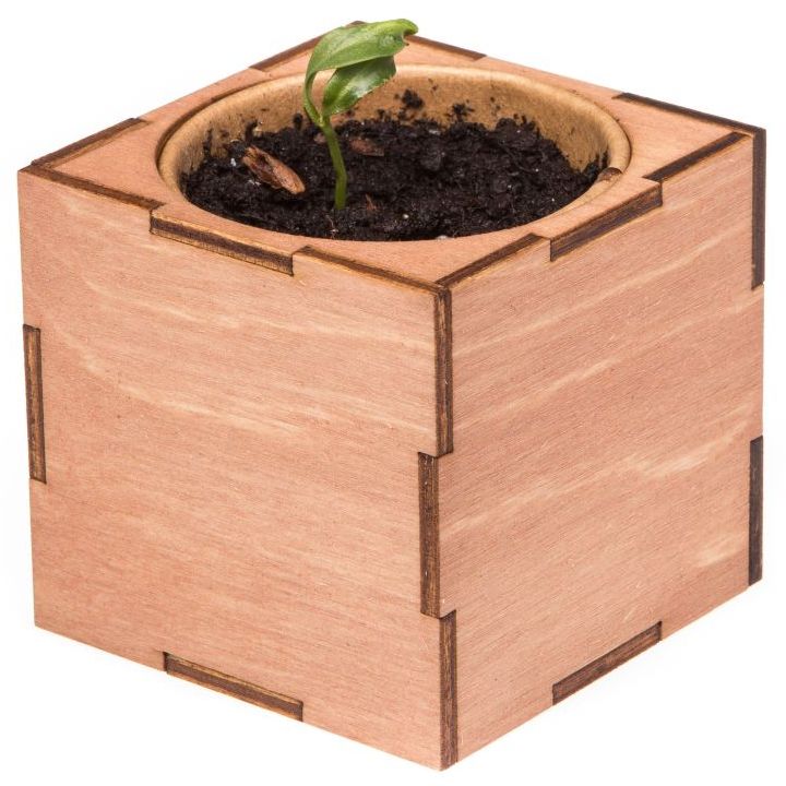 Набор для выращивания «Экокуб Lite», сирень — изображение 6