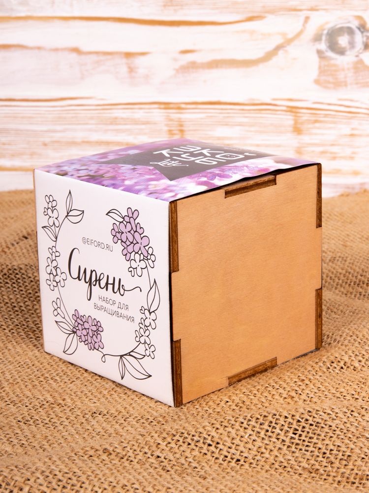 Набор для выращивания «Экокуб Lite», сирень — изображение 9