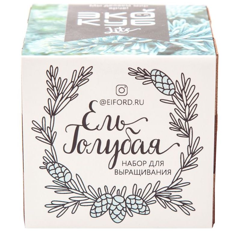 Набор для выращивания «Экокуб Lite», ель голубая — изображение 2