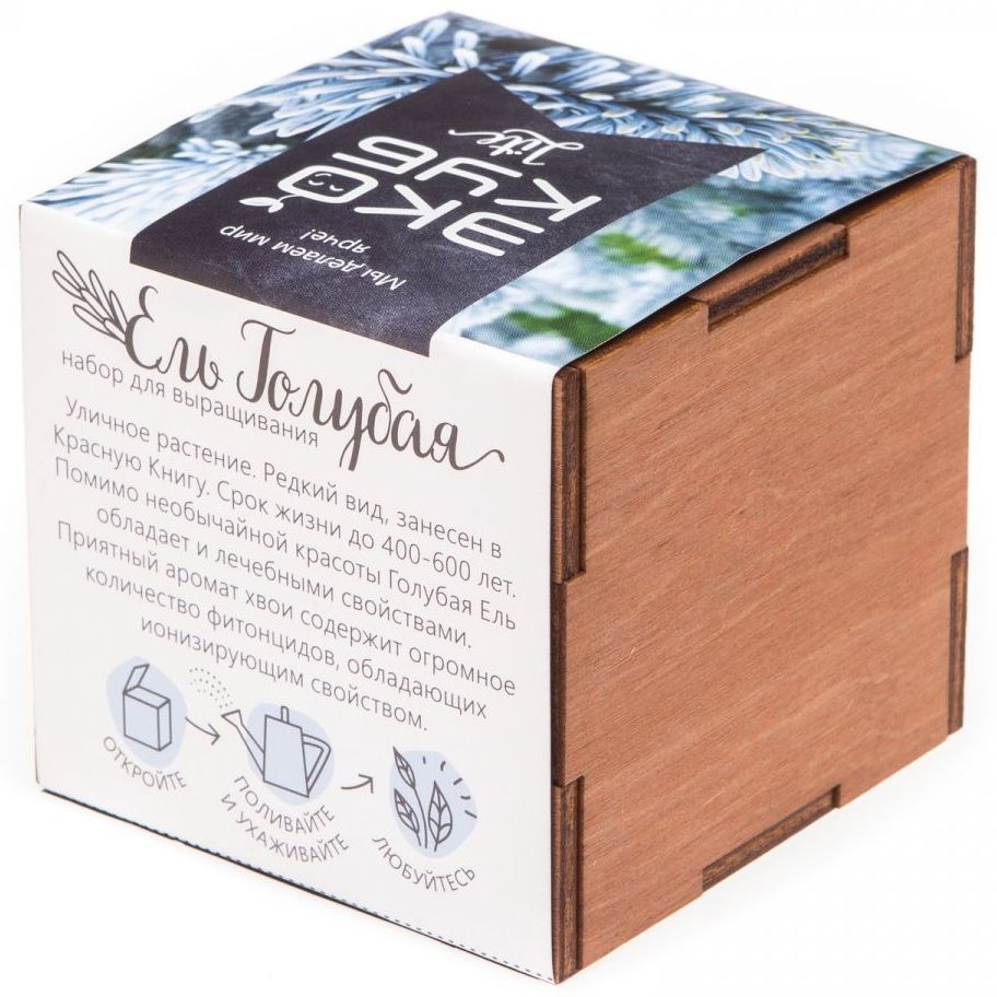 Набор для выращивания «Экокуб Lite», ель голубая — изображение 5