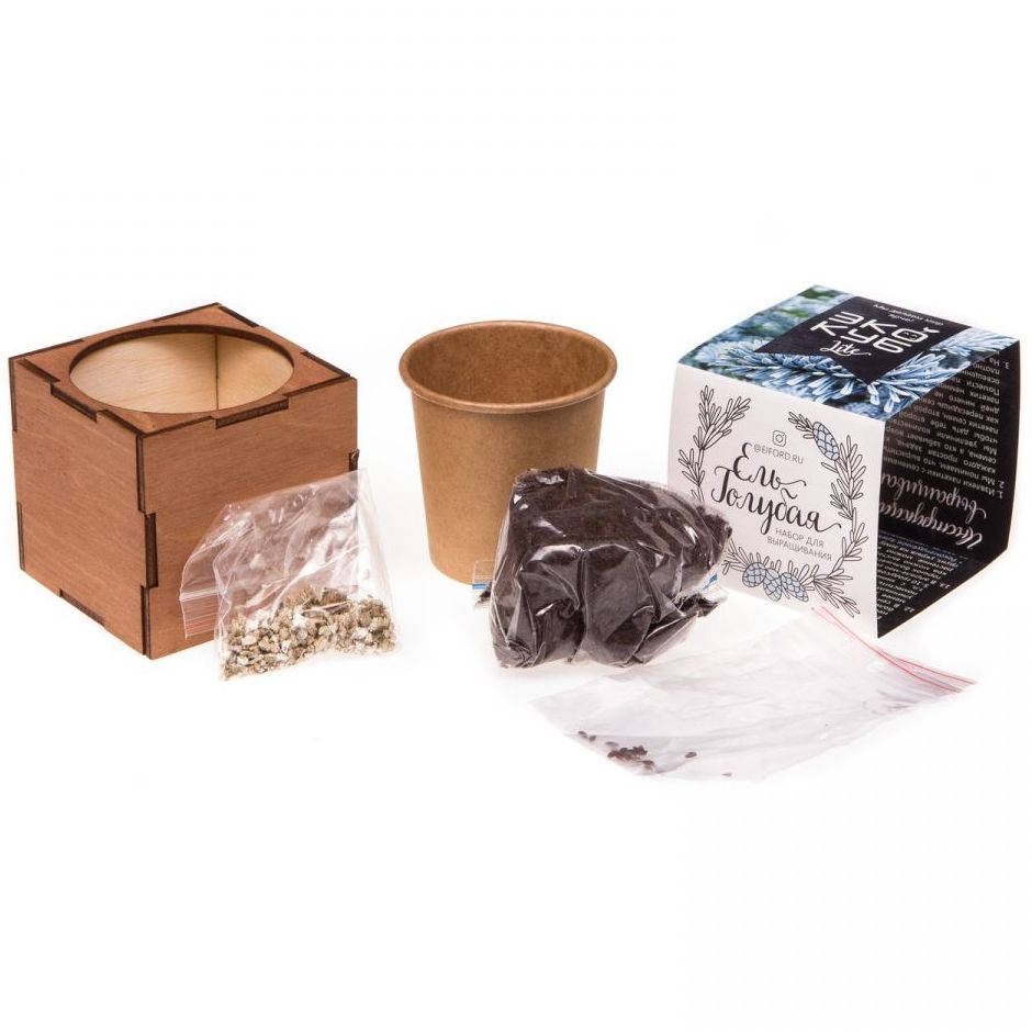 Набор для выращивания «Экокуб Lite», ель голубая — изображение 6