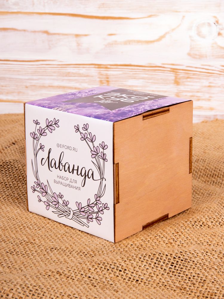 Набор для выращивания «Экокуб Lite», лаванда — изображение 8