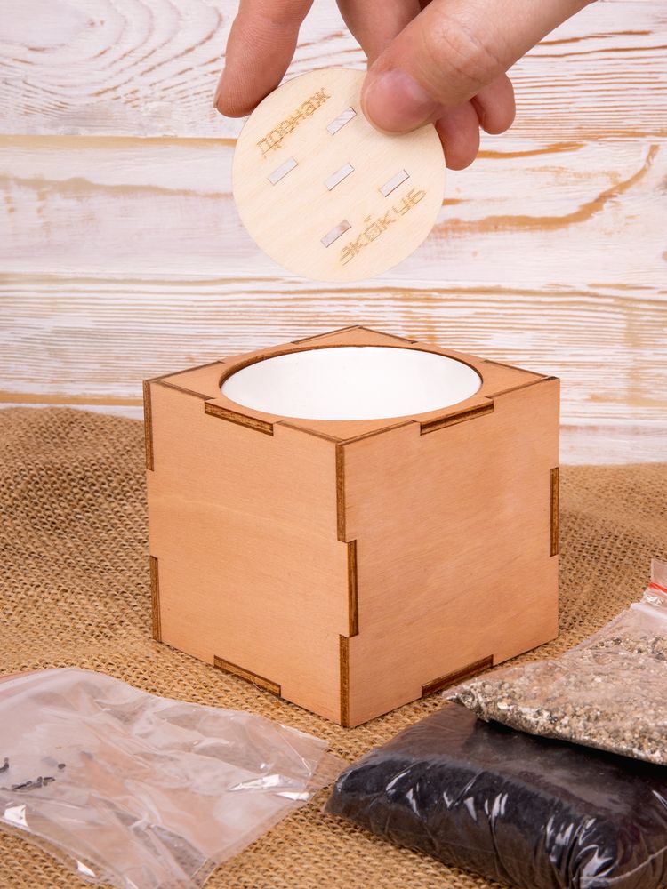 Набор для выращивания «Экокуб Lite», лаванда — изображение 9