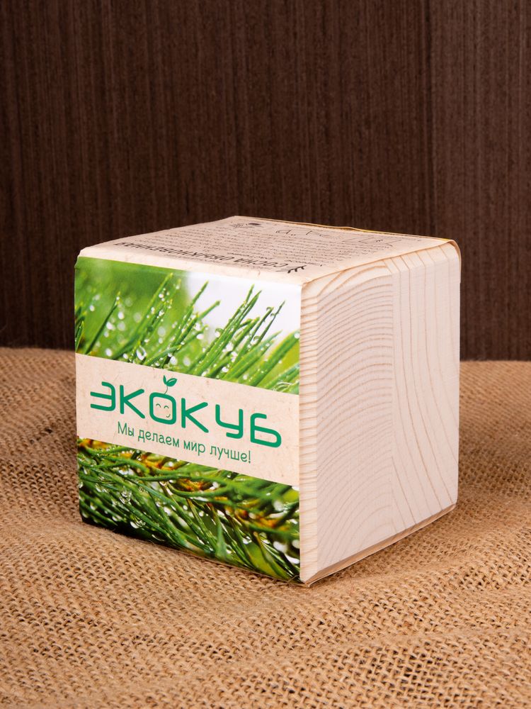 Набор для выращивания «Экокуб», сосна — изображение 5