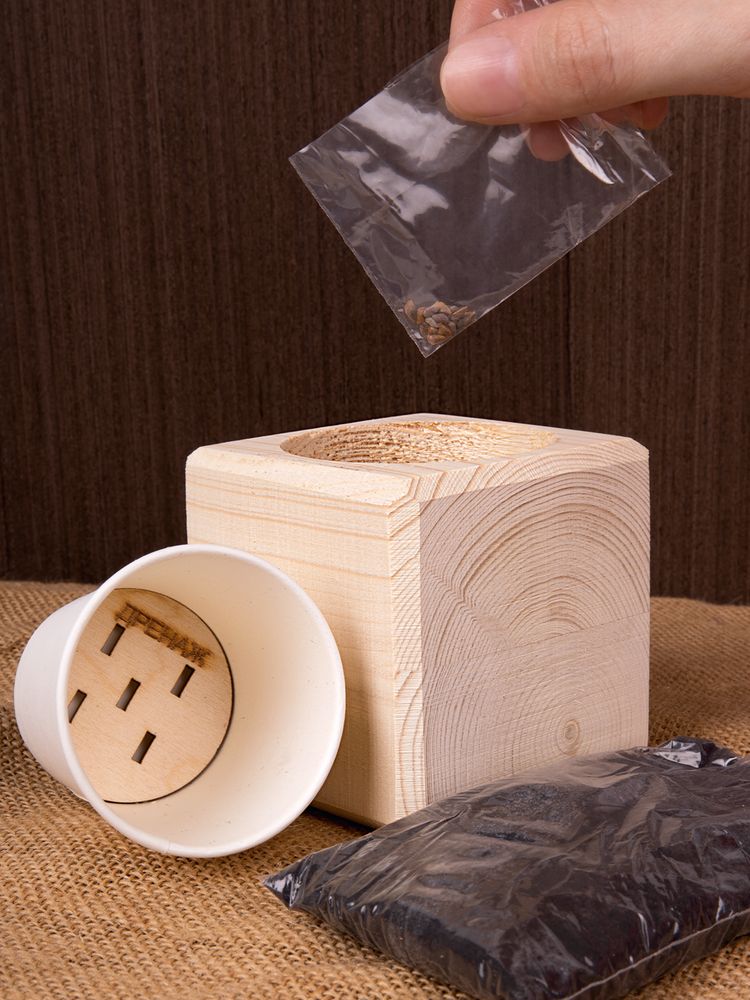 Набор для выращивания «Экокуб», сосна — изображение 6