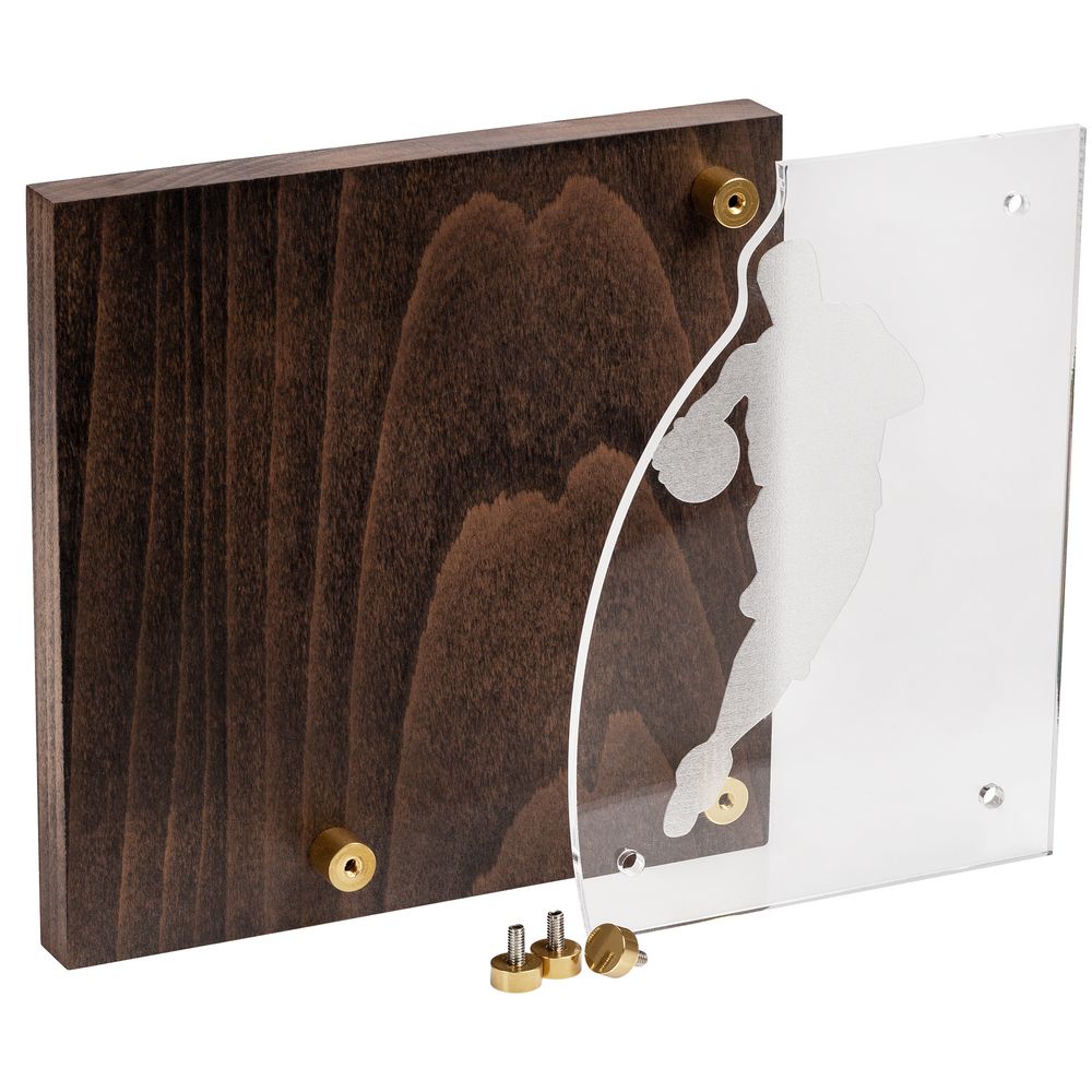 Награда Celebration, баскетбол — изображение 2