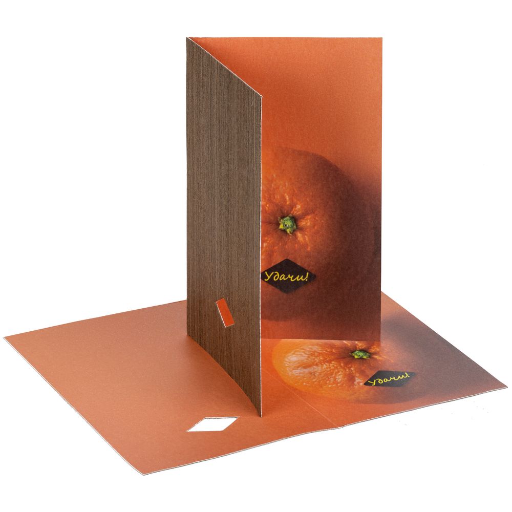 Набор Tangerine Dream, оранжевый — изображение 6