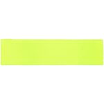 Лейбл тканевый Epsilon, S, желтый неон