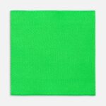 Лейбл тканевый Epsilon, L, зеленый неон