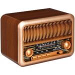 Bluetooth-колонка с радио Beatnik, коричневая