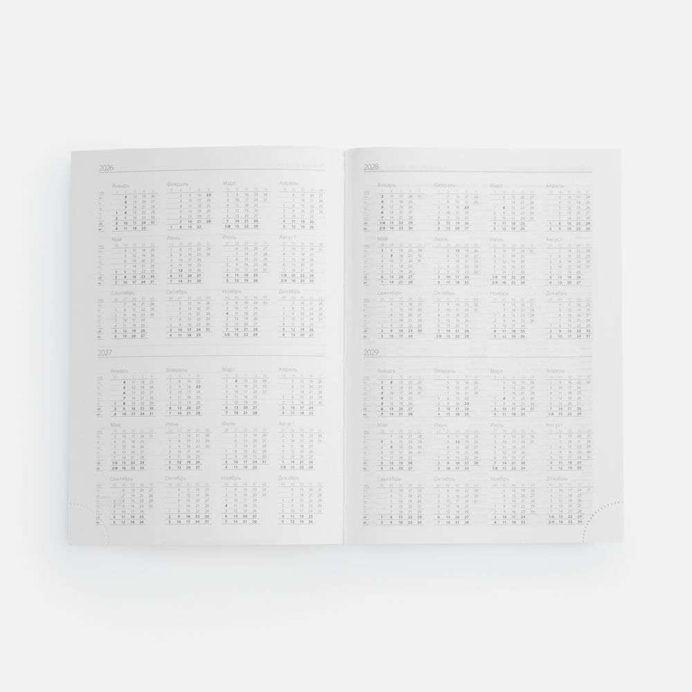 Ежедневник Favor Metal, недатированный, оранжевый — изображение 4