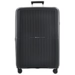 Чемодан Santiago L, черный