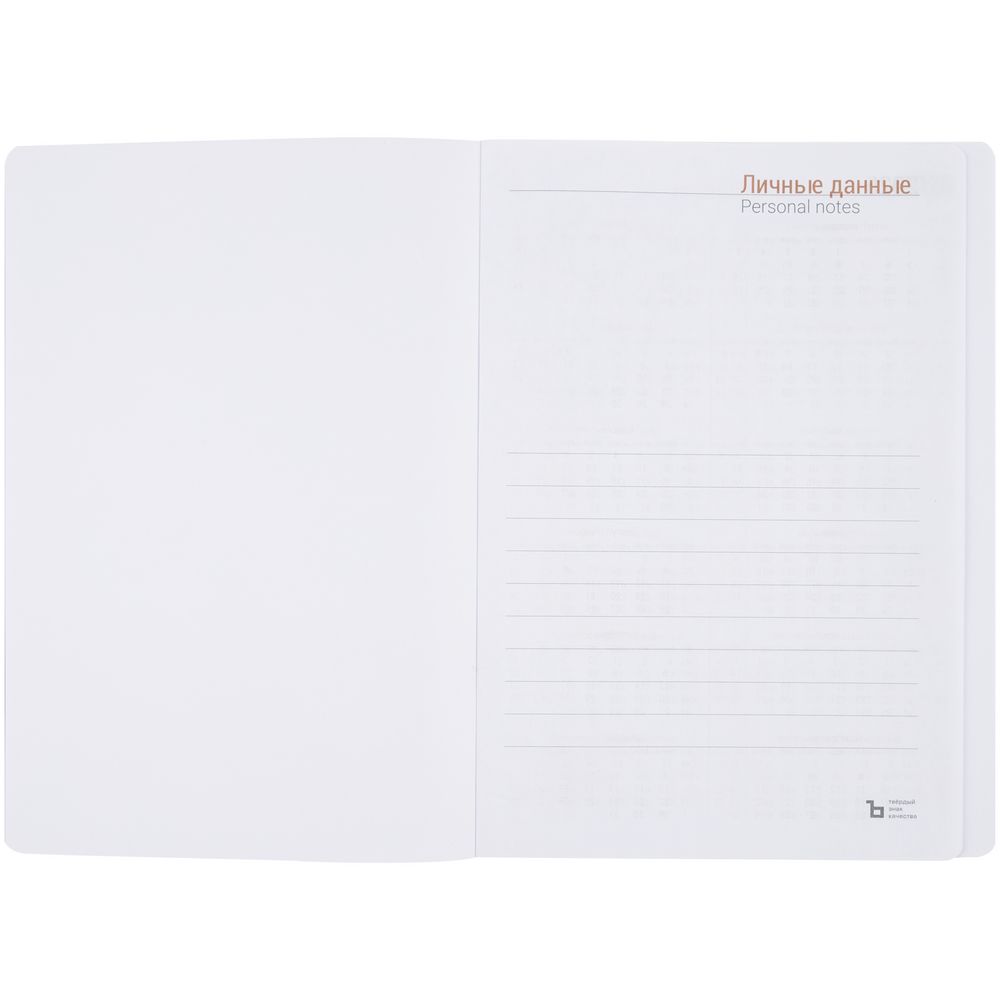 Ежедневник Flex Shall, датированный, серый — изображение 5