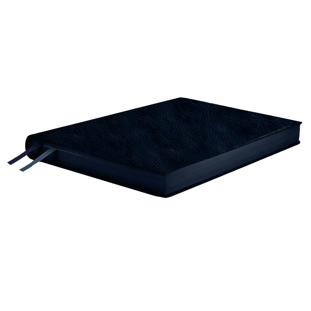 Ежедневник Merida, датированный, синий — изображение 3